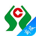 “冰壇”為冬奧練兵 打造全民冰雪樂園
